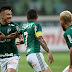 Botafogo-SP x Palmeiras ao vivo 21/01/2018 - Campeonato Paulista