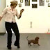 She Takes Her Place On The Dance Floor, Now Watch Her Dog When The Music Starts. OMG!
