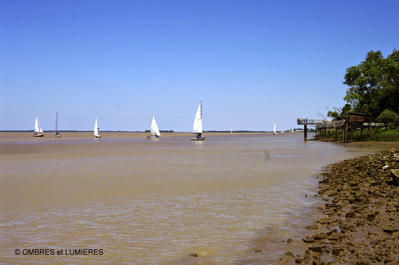 Rencontres estuariennes