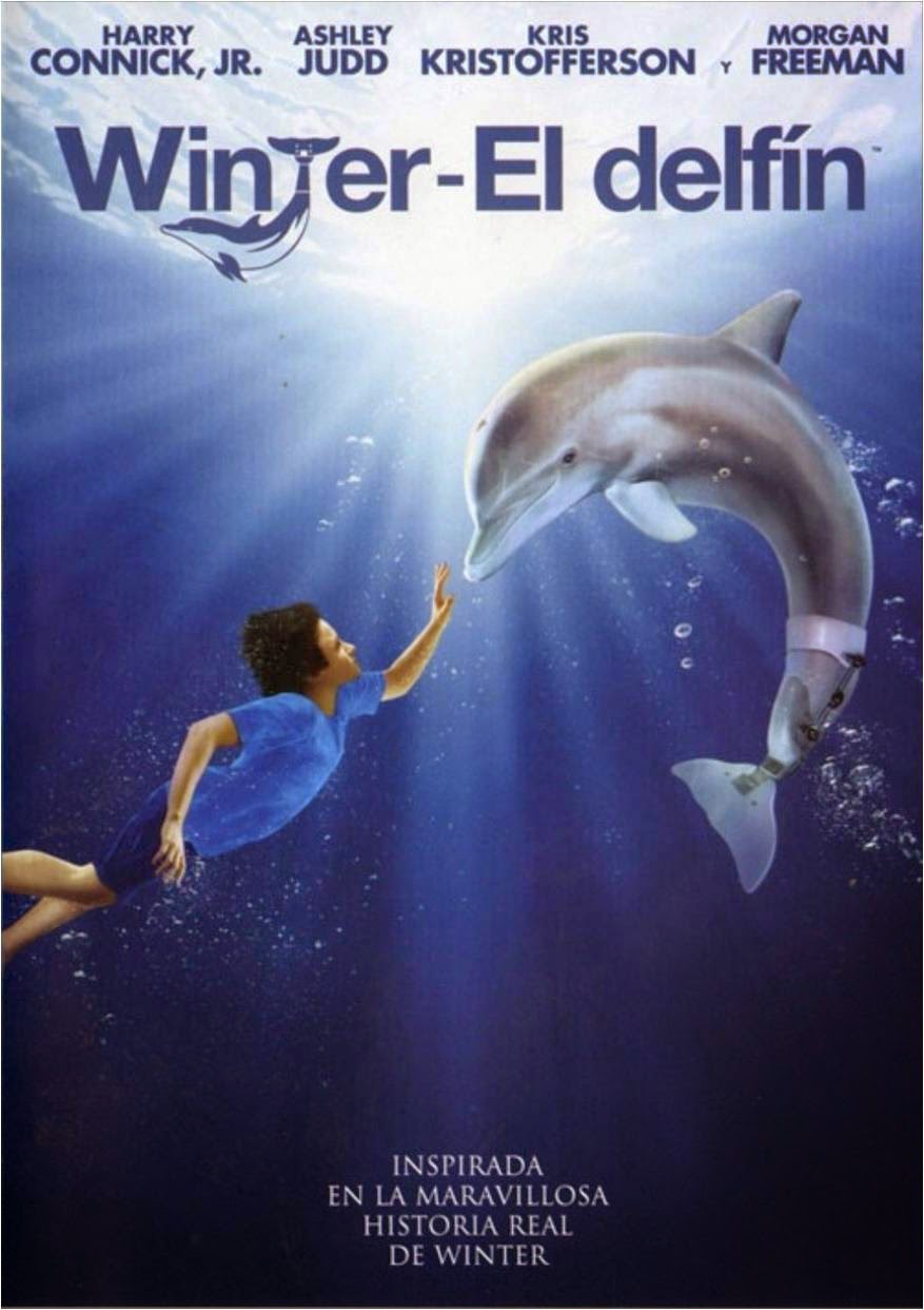 TODAS NOVEDADES WINTER EL DELFIN