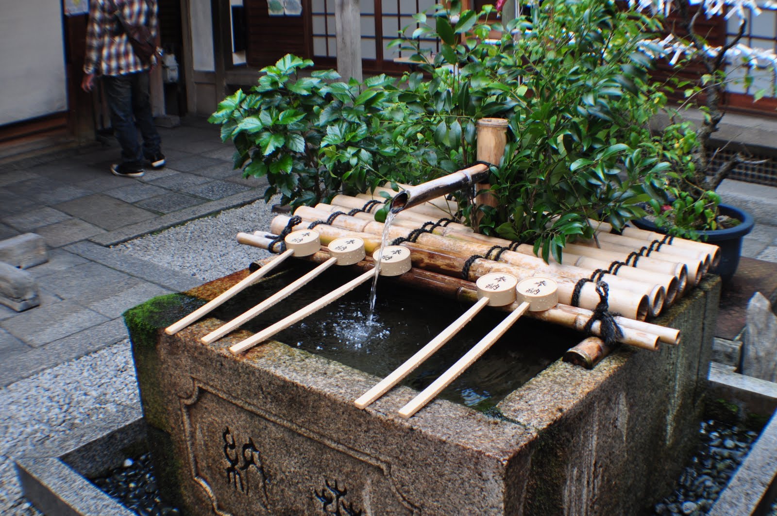 Solo Kyoto Tofu Donuts