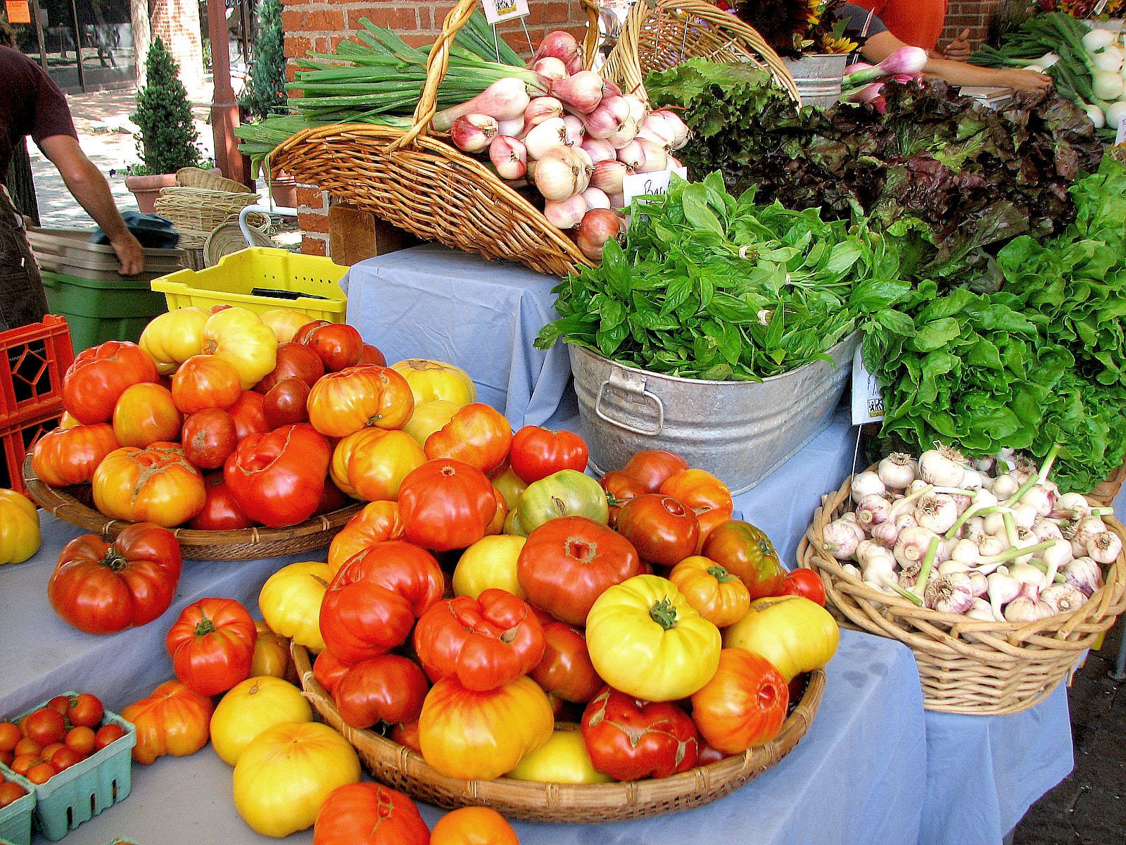 The Philly Food Feed Back Headhouse Market!