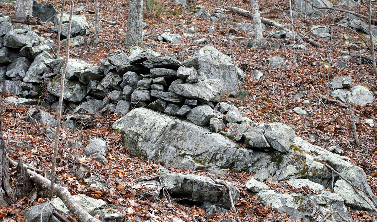 Rock Piles Snakes and Snakes??