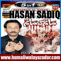 http://ishqehaider.blogspot.com/2013/07/hassan-sadiq-nohay-2014.html