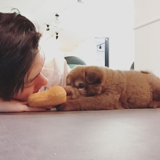 20582379_1501695326556646_82412045033579