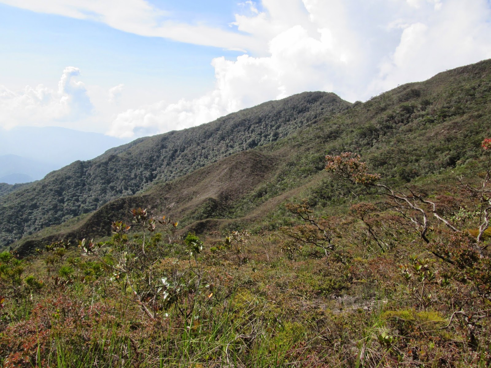 Hiking and Stuff: Gunung Tahan via Merapoh