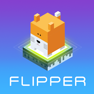  Flipper - The Flip Master