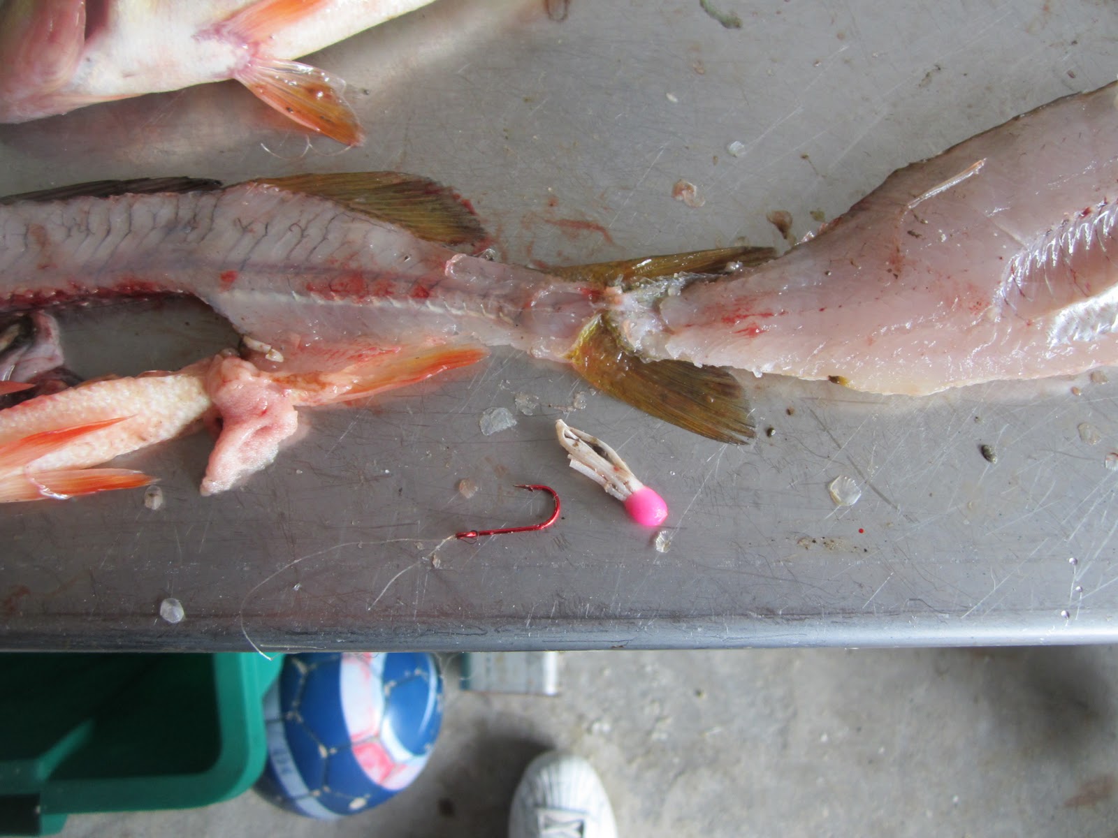 Yes, fish bite twice!!! The Frugal Fisherman