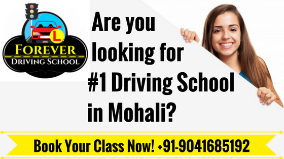  Driving School in Mohali