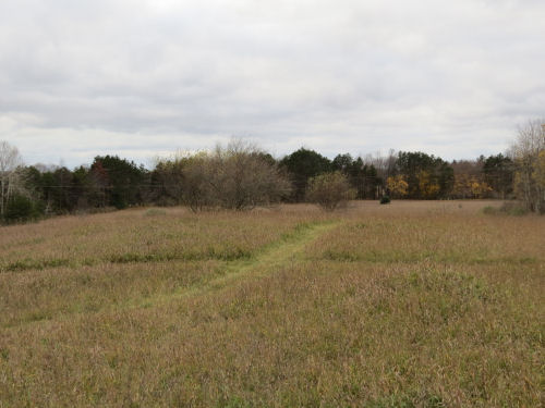mowed trail