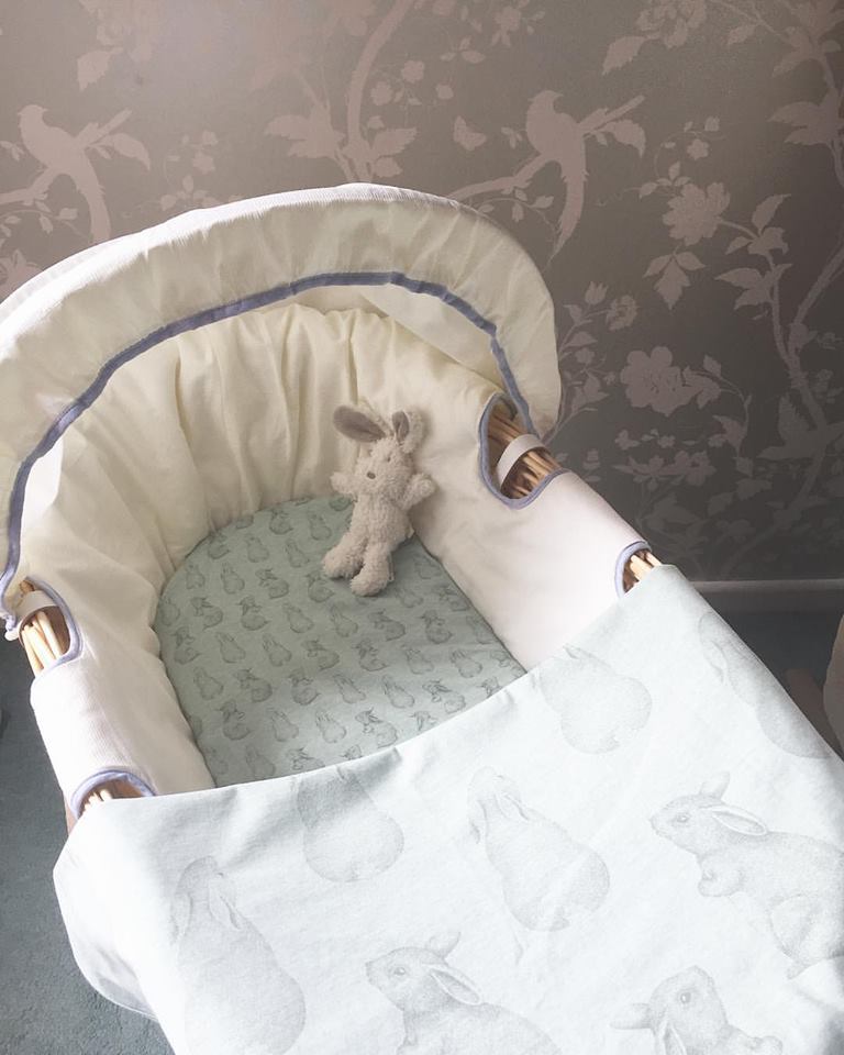 the little green sheep company