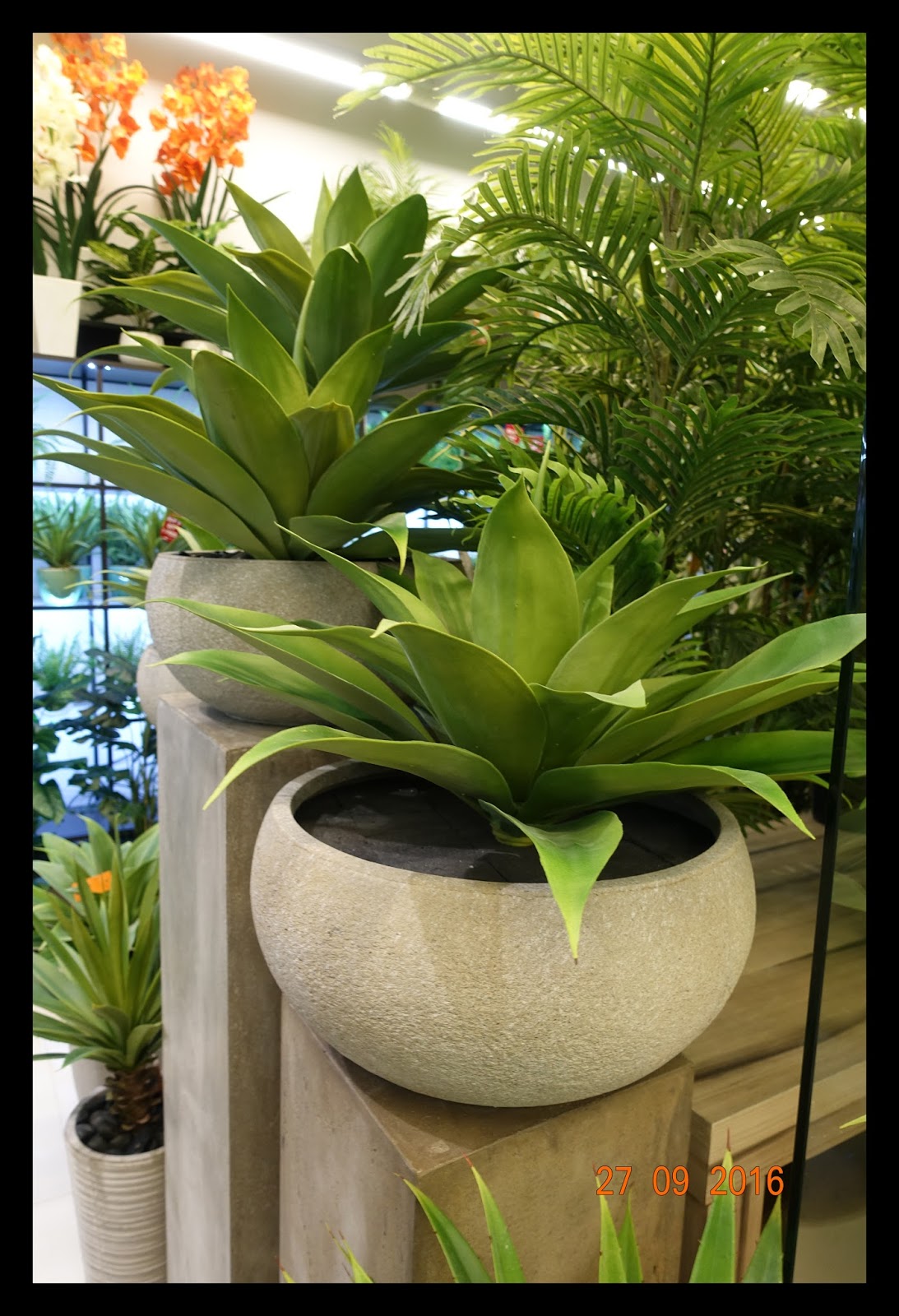 Finest quality artificial plants that look so realistic and natural