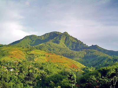 Indah! Inilah 7 Gunung yang Ada di Kota Bandung