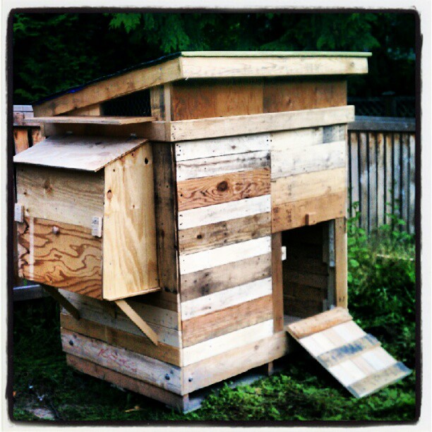 The Yellow House Project: Pallet Chicken Coop - Chicken+Coop