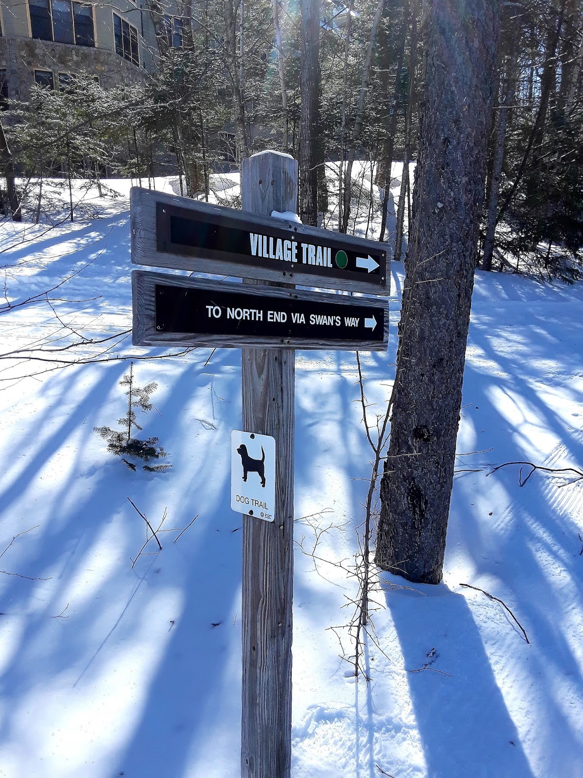 Dogs Luv Us and We Luv Them DOG FRIENDLY FUN IN WATERVILLE VALLEY, NEW