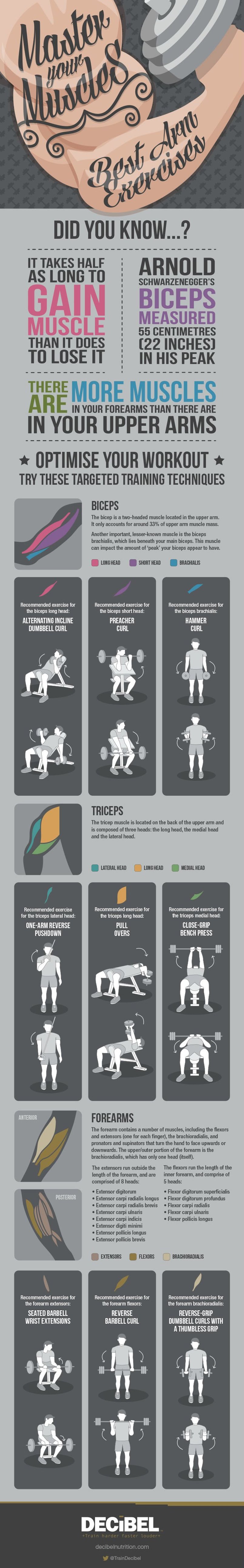 The Best Exercises To Master Your Arm Muscles #Infographic