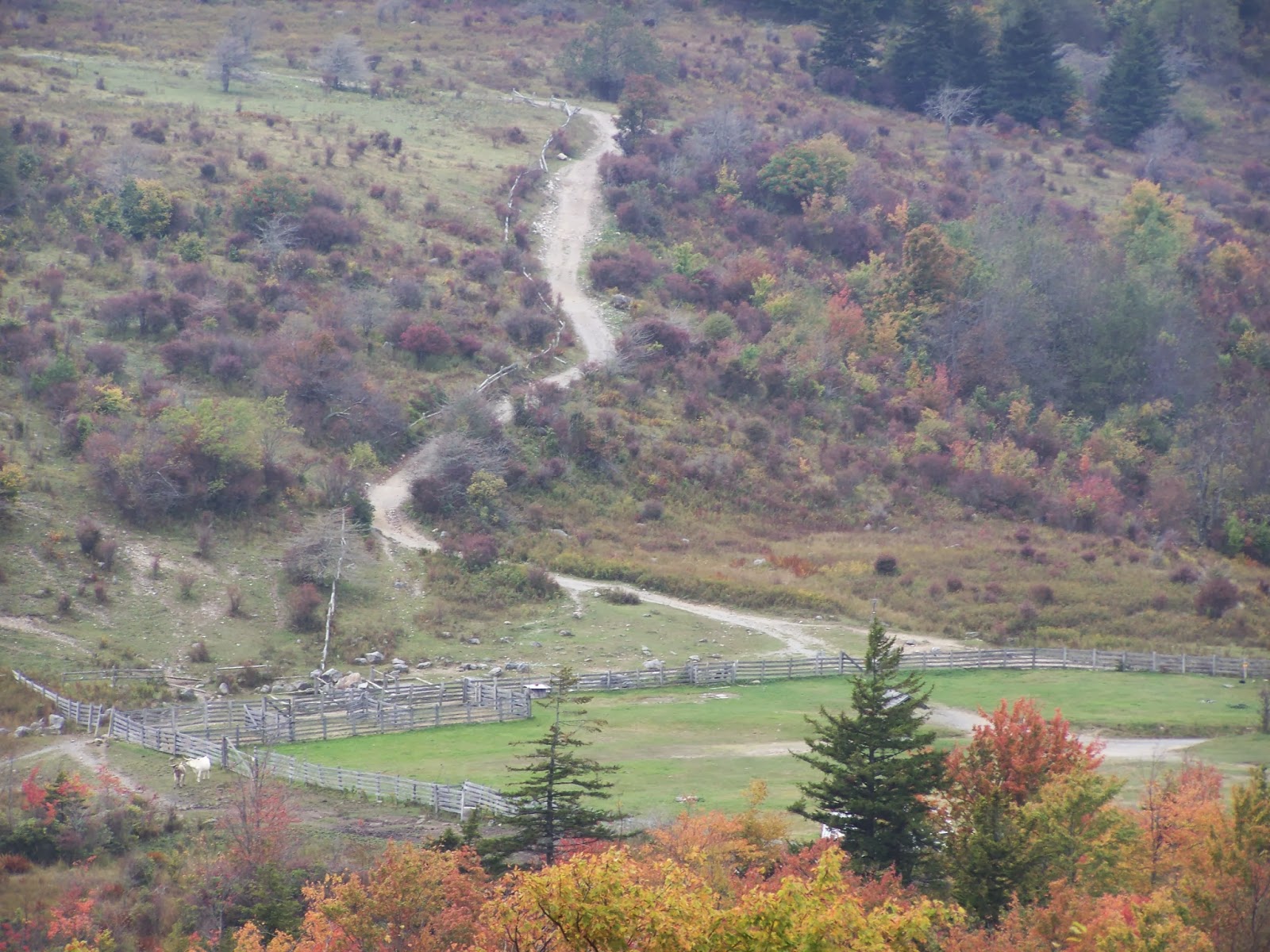 Appalachian Trail Section hiking Grayson Highlands State Park to