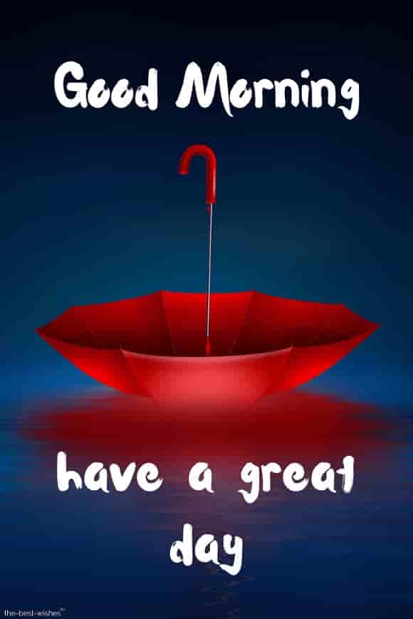 Best Good Morning HD Images, Wishes, Pictures and Greetings Festival