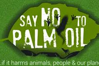 Ferrero Rocher+Bolacha Maria+Pão de Leite...O que há em comum?