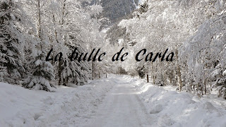 http://2.bp.blogspot.com/-wmEqK-RuBeo/VKAwXZ8-2QI/AAAAAAAAADw/tfTNDPjpBD8/s1600/Hiver%2B4.jpg