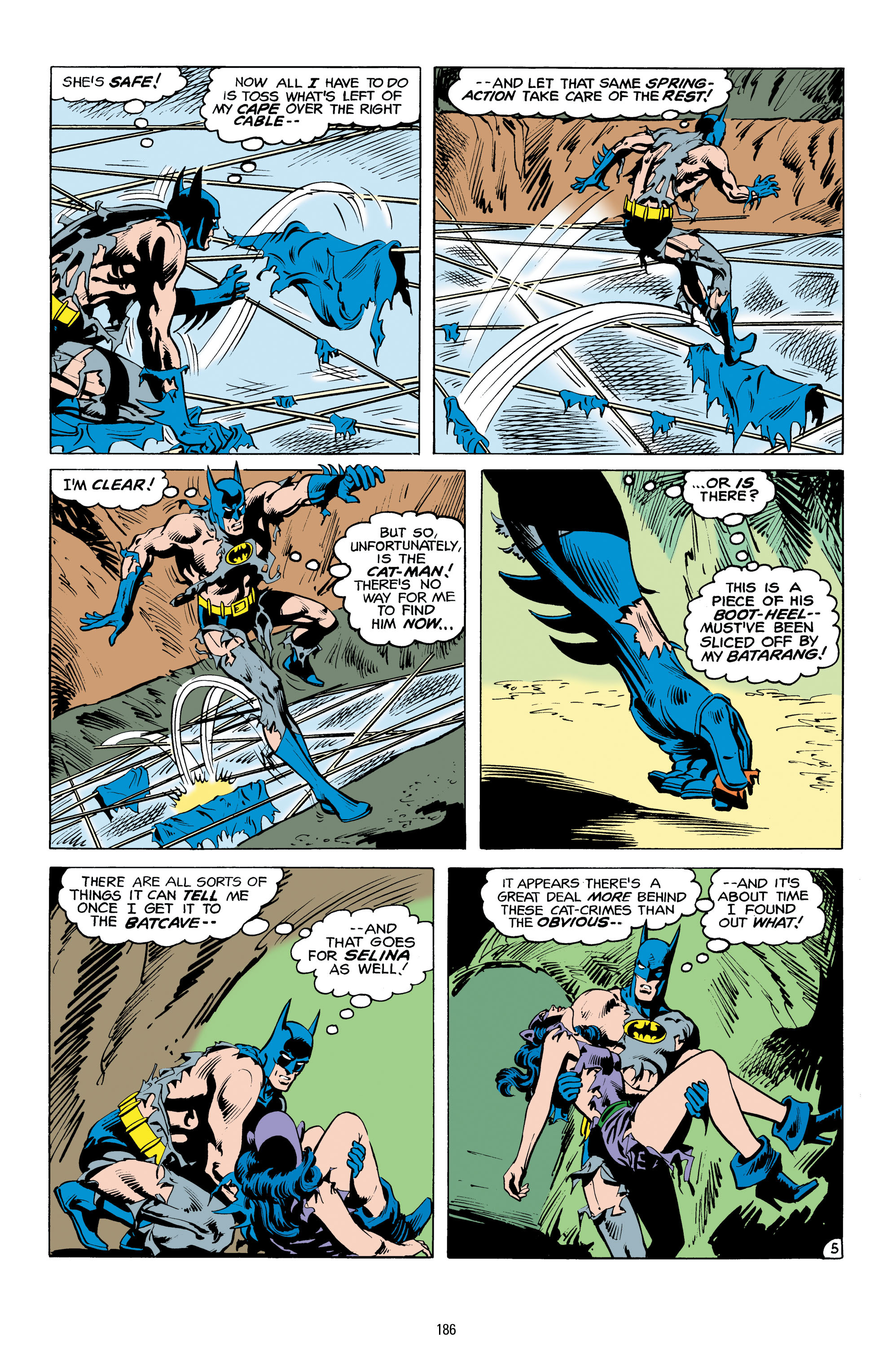 Read online Catwoman: A Celebration of 75 Years comic -  Issue # TPB (Part 2) - 87