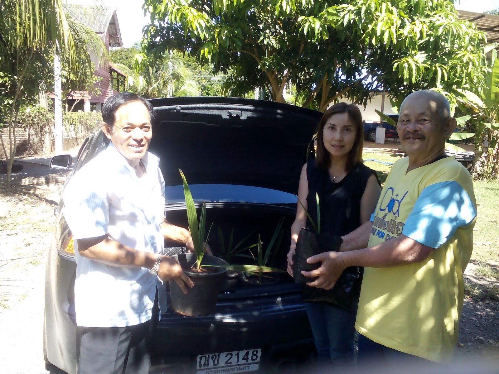 Plarmfruitkanjana blogspot Plarmfruitkanjana blogspot
