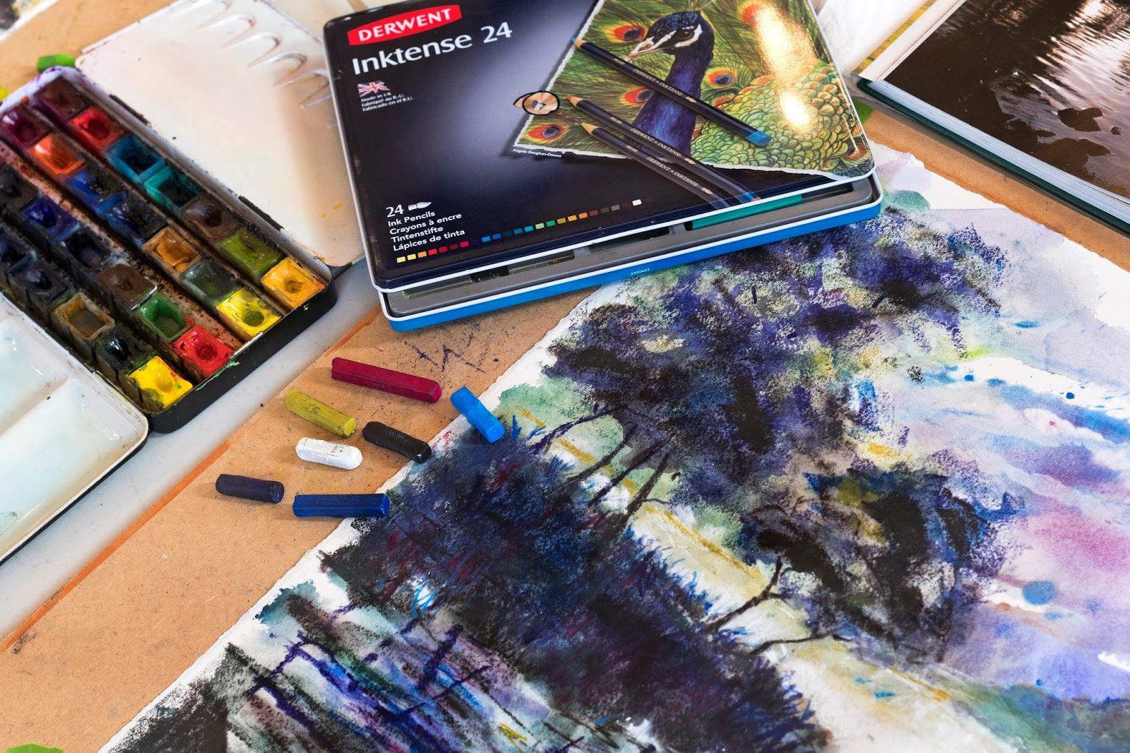 Robert Dutton Artist Derwent 'Inktense' a real hit with