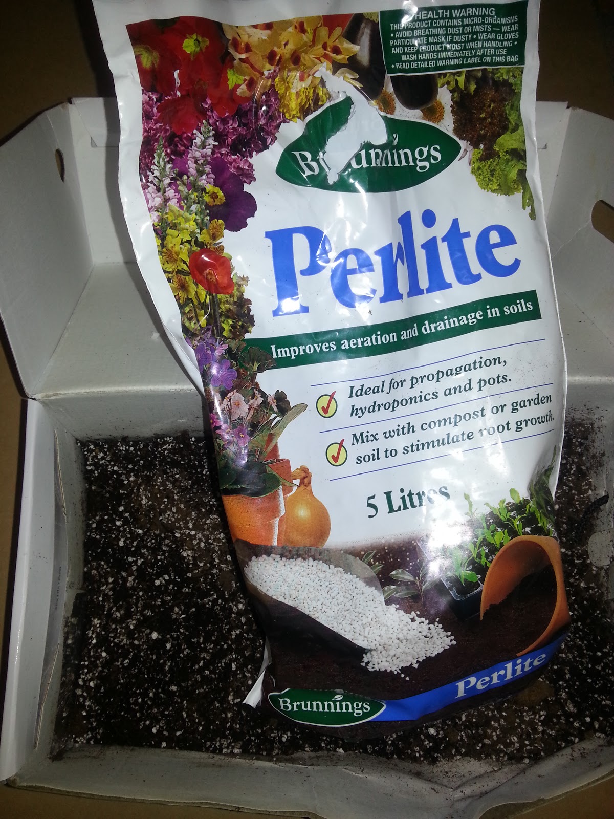 How to Root Green Fig Cuttings A Canberra Vegie Garden