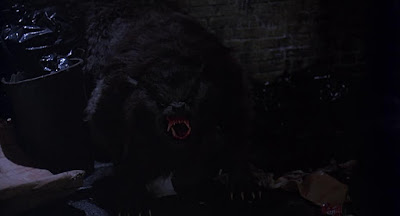 An American Werewolf In London 1981 Image 6