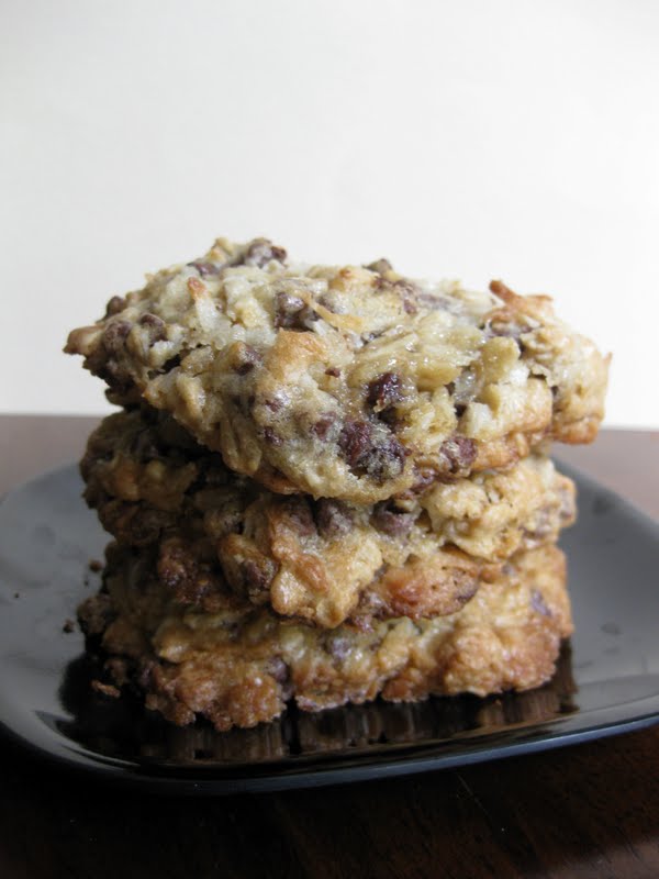A Book to Chew on Chocolate Chunk Oatmeal Coconut Cookies