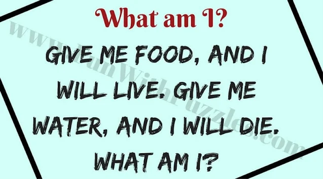 GIVE ME FOOD, AND I WILL LIVE. GIVE ME WATER, AND I WILL DIE.  WHAT AM I?