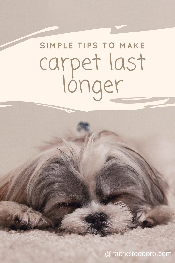 4 Simple Steps to Make Carpet Last Longer