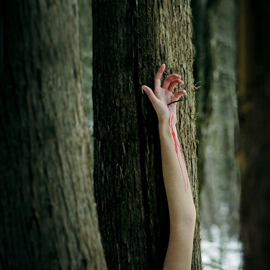 lissy alle fotografia sangue machucado garota