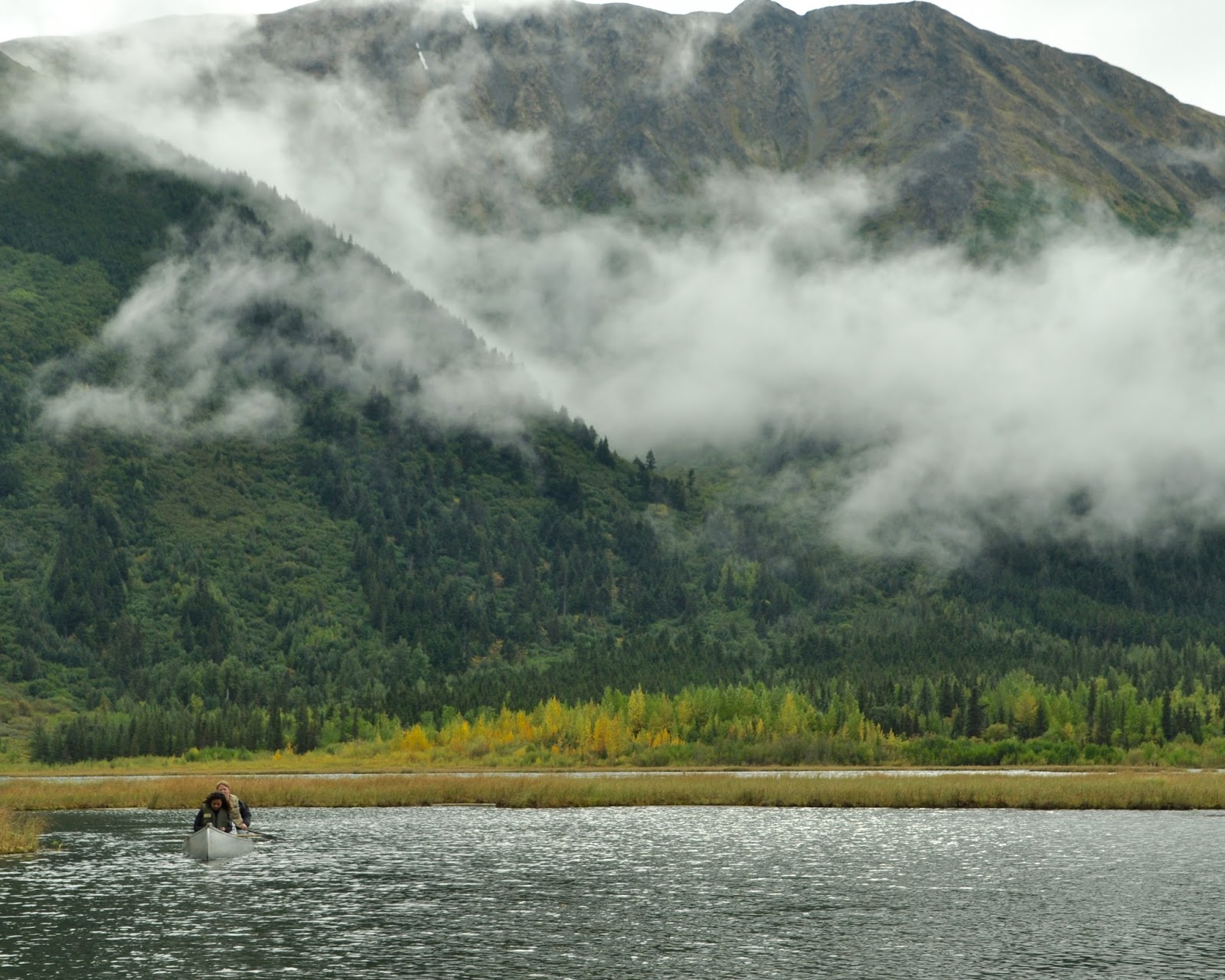 Heart Alaska Homer and the Seward Highway