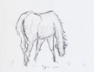Unbridled Art by Megan: Horse Sketches