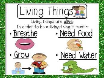 Living and non living things | English and Colours
