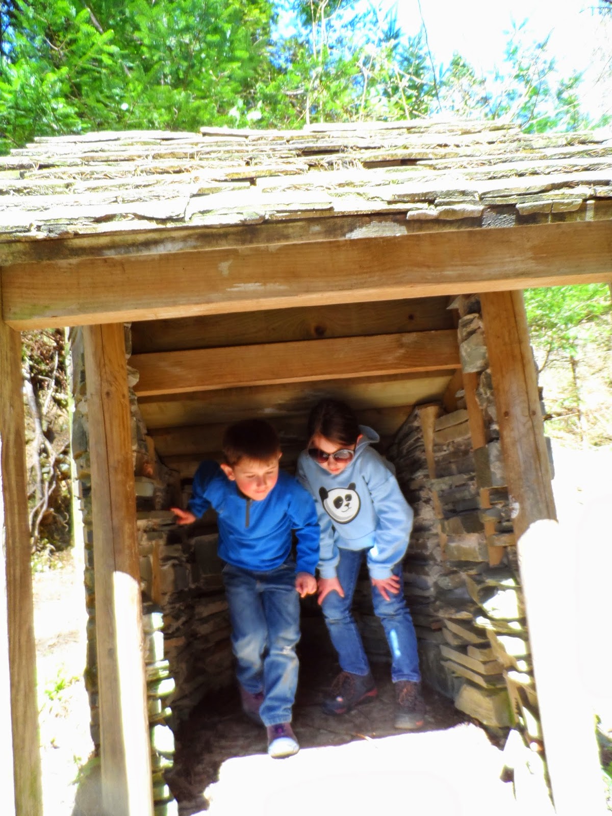 Grizedale Forest Gruffalo trail, nope not in here.