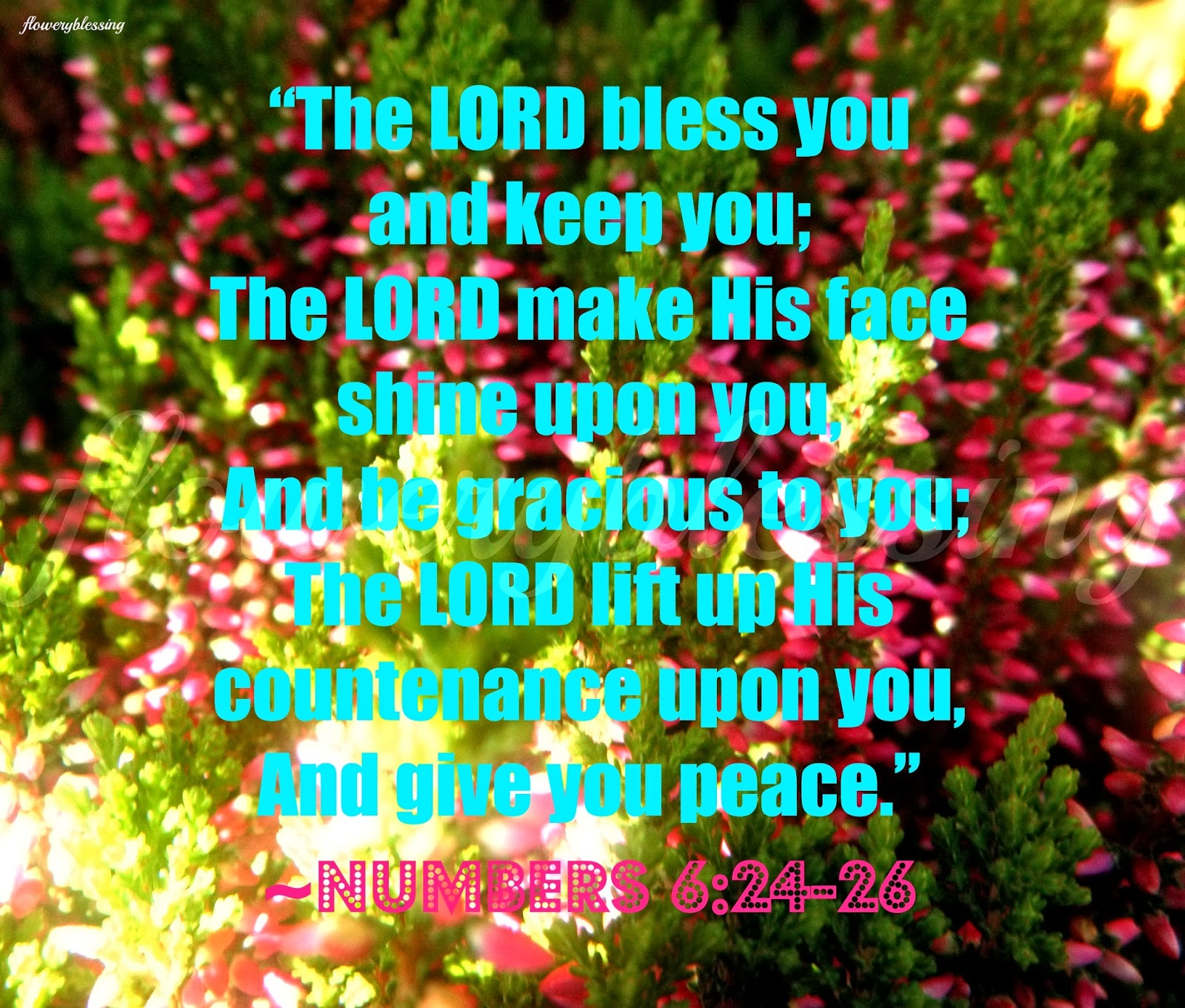 Flowery Blessing The LORD Bless You And Keep You The LORD Make His Face Shine Upon You And 