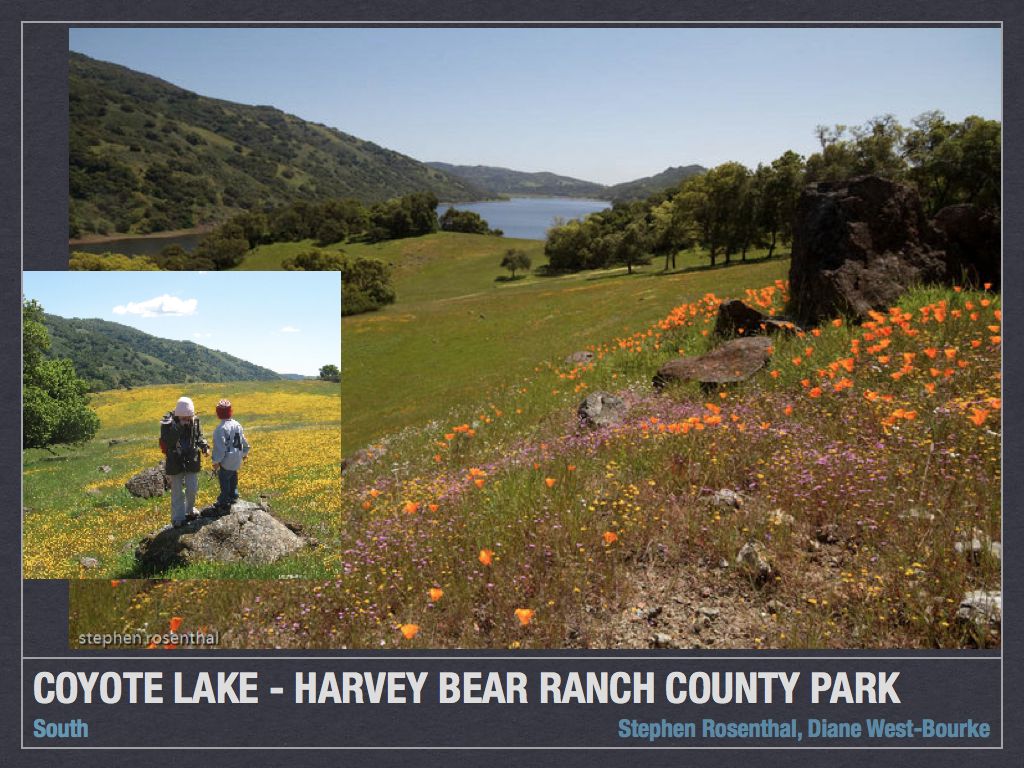 Dipper Ranch Wildflower Hotspot 6 Coyote Lake Harvey Bear Ranch