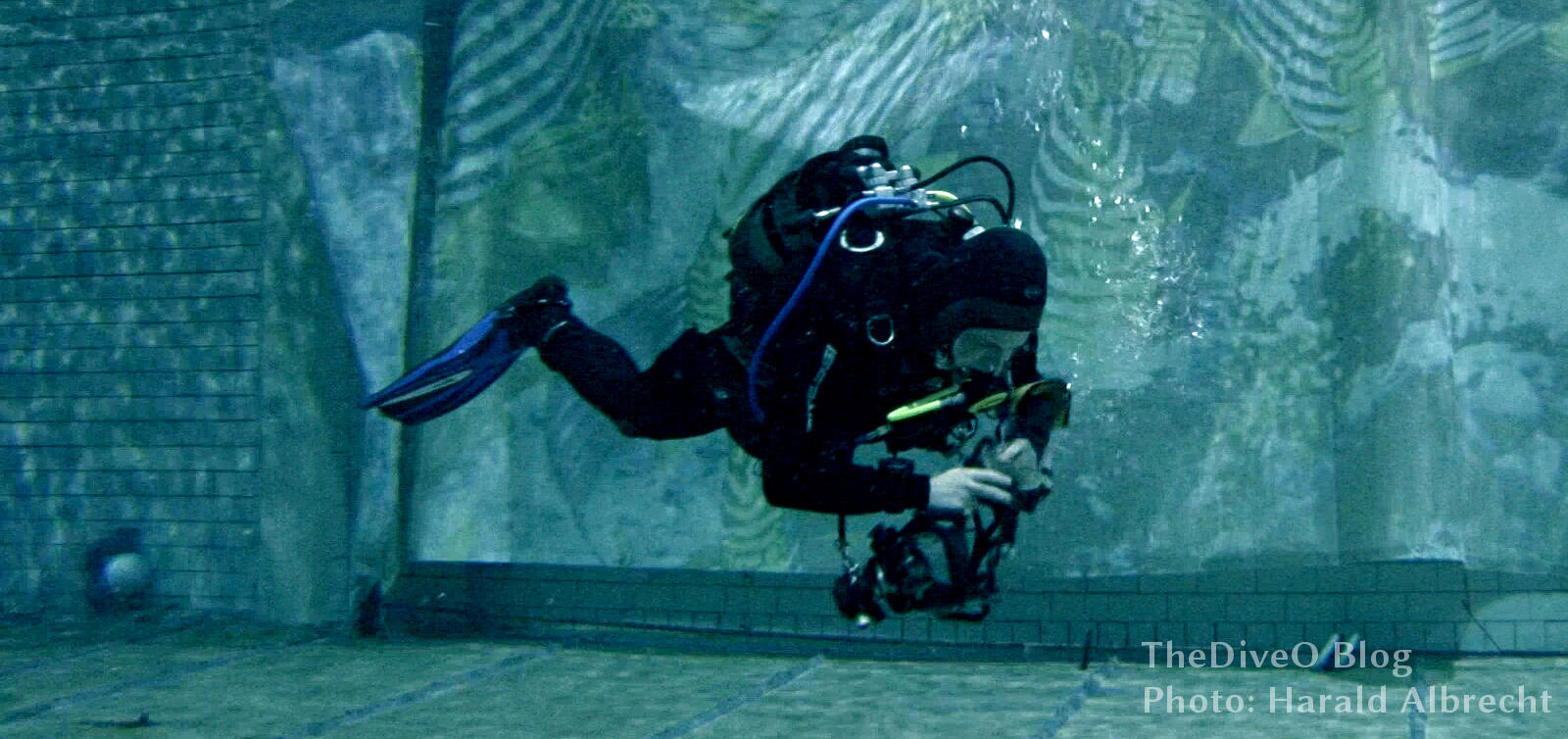 Thediveo Int L 12