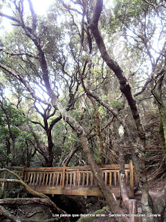 Anaga Sendero de los Sentidos Anaga Sendero de los Sentidos