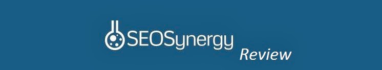 SEO Synergy Review