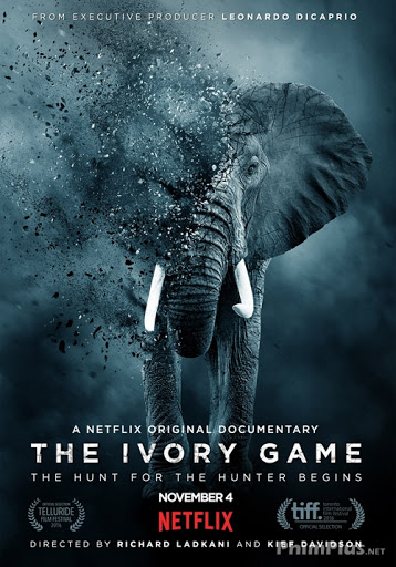 Phim Kẻ Trộm Ngà Voi - The Ivory Game (2016)