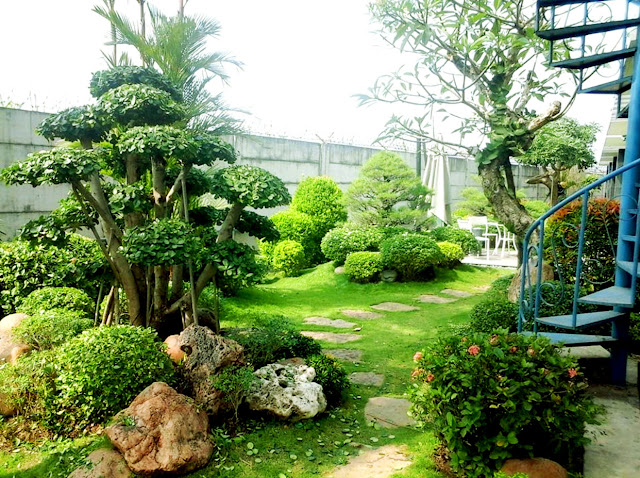 Tukang Taman Jakarta Terbaik dan Berpengalaman