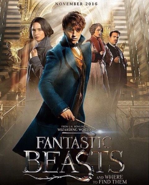 Pupilla Olvas Legendas Allatok Es Megfigyelesuk A Film