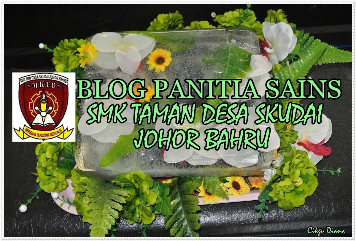 Blog Panitia Sains SMKTDS, JB