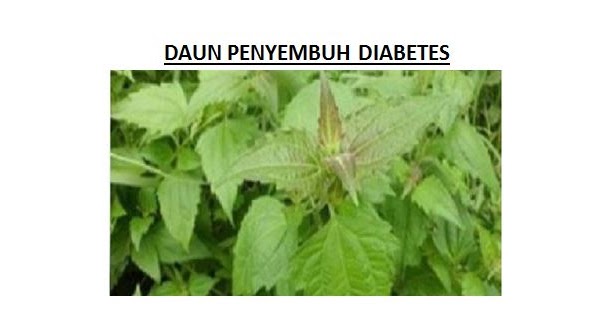 Buktikan Dalam 3 Hari Gula Darah Anda Akan Normal Diabetes