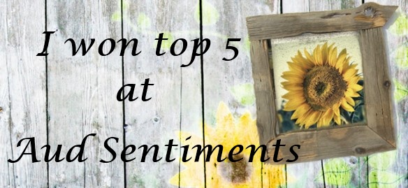 Aud Sentiments Top 5