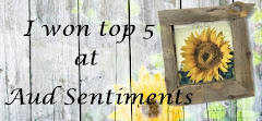 TOP 5 Aud Sentiments