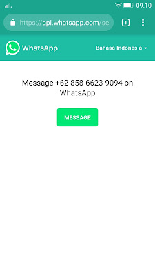 API whatsapp
